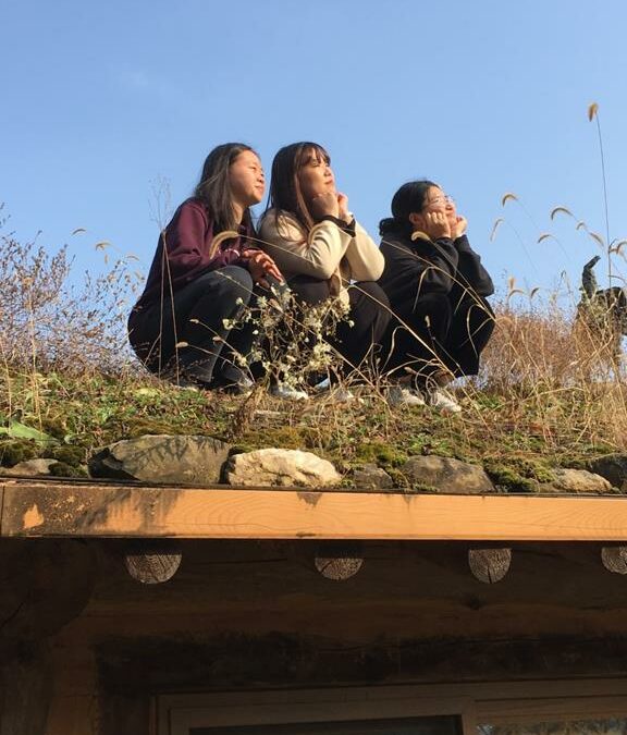 Ce que j&rsquo;ai trouvé grâce à Discovery