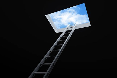 La chronique de Rosario