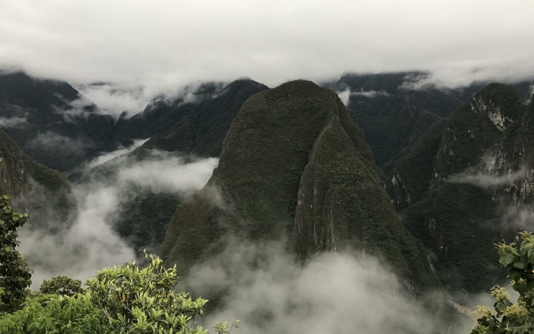 La vie intérieur que la création m&rsquo;offre comme cadeau!