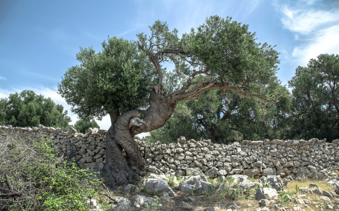 Journal en temps de guerre 2